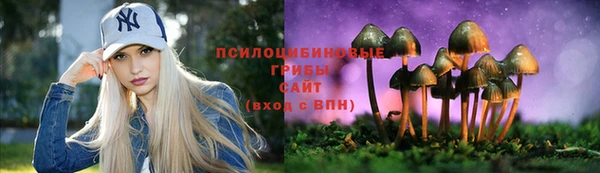 наркотики Алексин