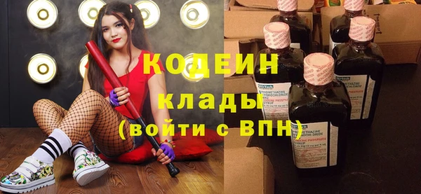 хмурый Алзамай