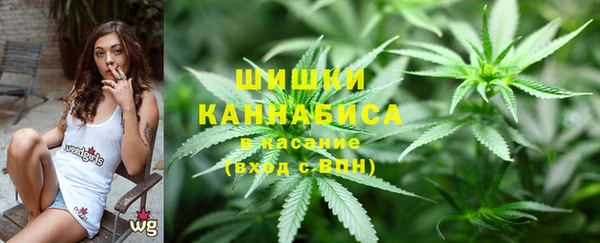 хмурый Алзамай