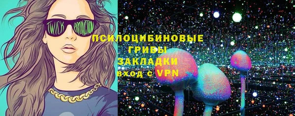 хмурый Алзамай