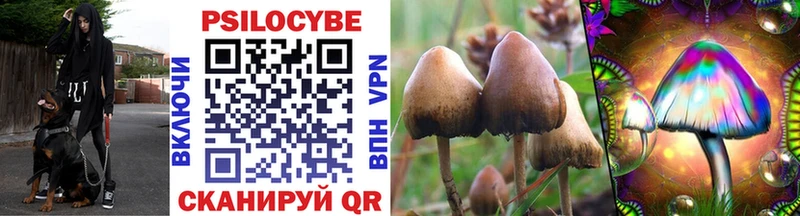 omg ссылки Кимовск Галлюциногенные грибы Cubensis